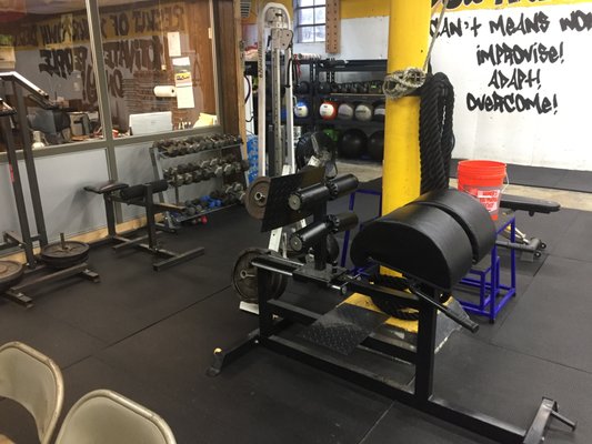 Glute ham bench we have 2 of these, old school standing and seated calf raise machines plyo boxes