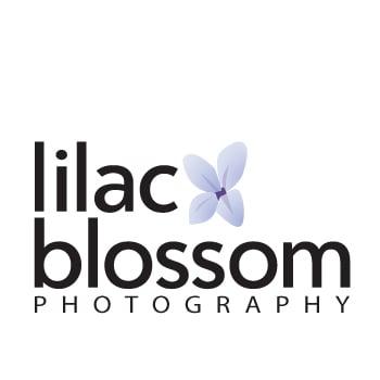 Lilac Blossom Photography