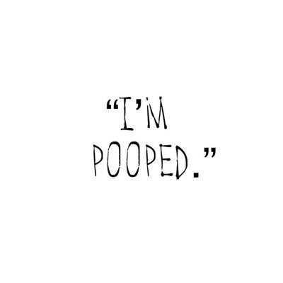 || ....said every @pawsocietylb dog ever. Your pup can be pooped too.. DM us or visit our website for details! ||