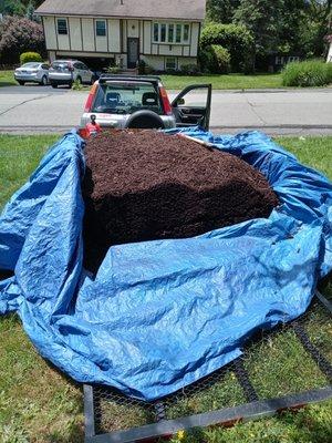 Mulch