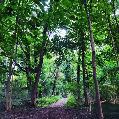 Jack Harrington Greenway