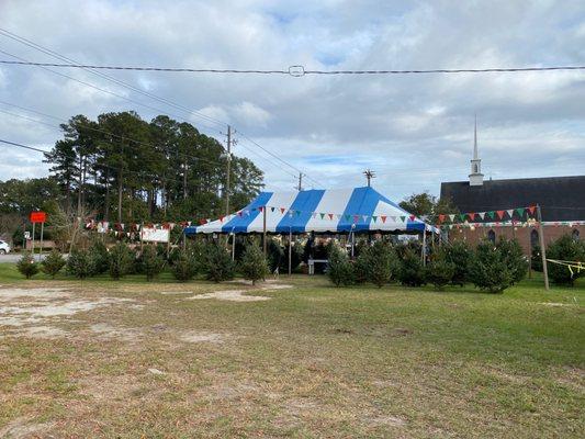 Christmas tree lot in Richmond Hill