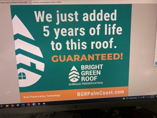 Bright Green Roof - Palm Coast