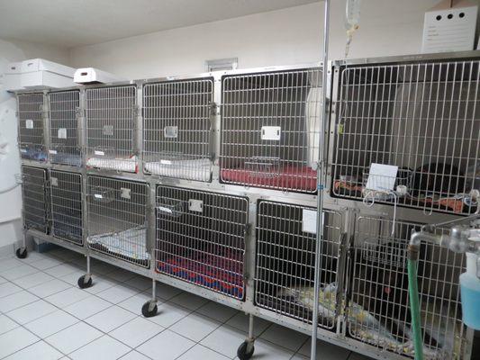 Our canine ward.  Here dogs wait for medical attention during surgery time or they are hospitalized and monitored.