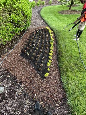 Cool and sexy landscaping beds in Upscale Nashville Community