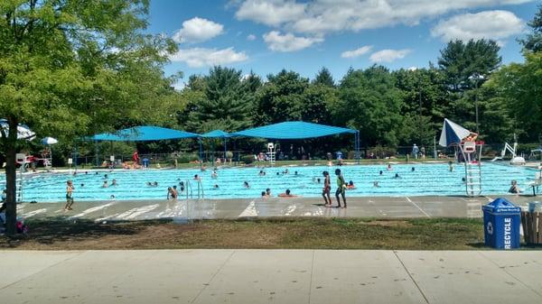 Olympic-sized swimming and lap pool on a 95 degree day!