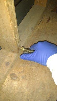 Local injection treatment for control of Drywood termites in an attic stud.