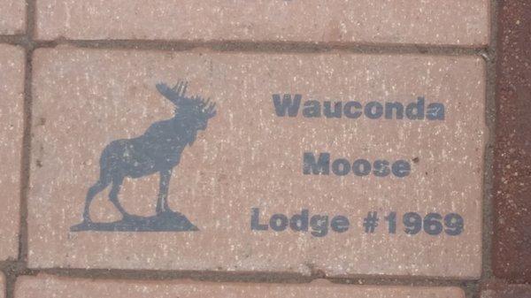 Loyal Order of Moose Lodge Wauconda No 1969 Ofc