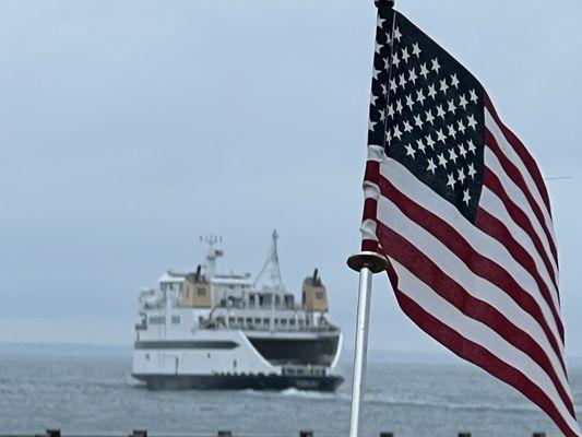 That is a ferry heading for Woods Hole