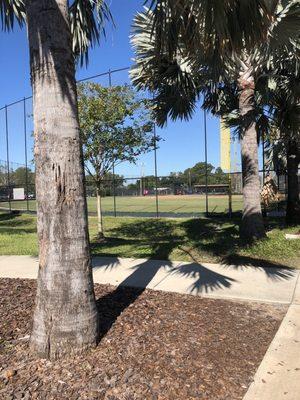 One of the other many baseball fields and trees in entrance