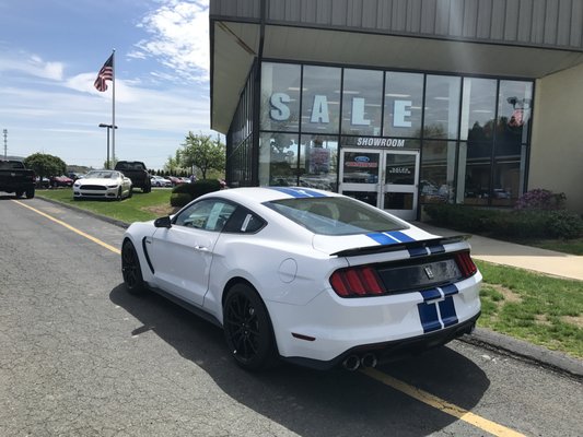 2017 Ford Mustang GT350