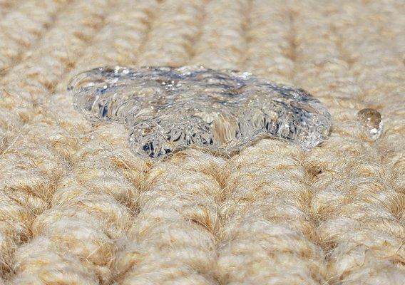 Looped Wool Rug with water spill after being protected with Fiber ProTector by the Fiber Protection Specialist