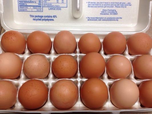 Farmer John Eggs