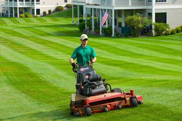 Townhome Mowing