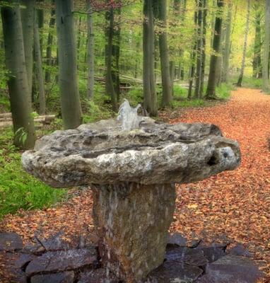 In this "Shiitake" fountain, water spills over the edge and through the holes of a one-of-a-kind naturally formed stone imported from Java.