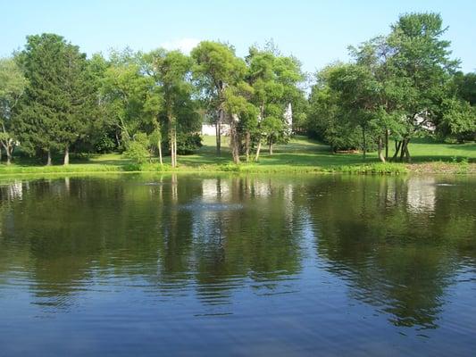 Pond with a Clean-Flo system