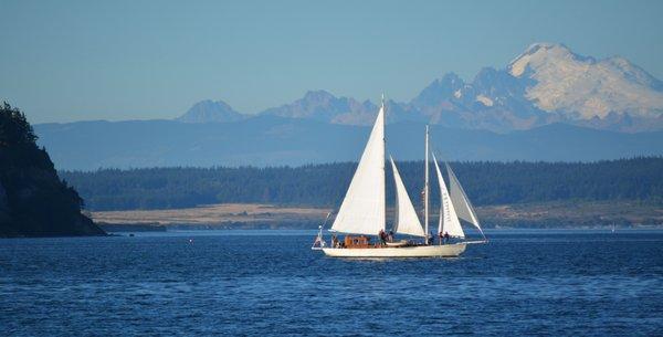 Suva Sailing in Penn Cove.