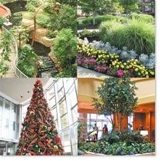 Plantscape offers commercial landscape interior & exterior design, installation and maintenance services.