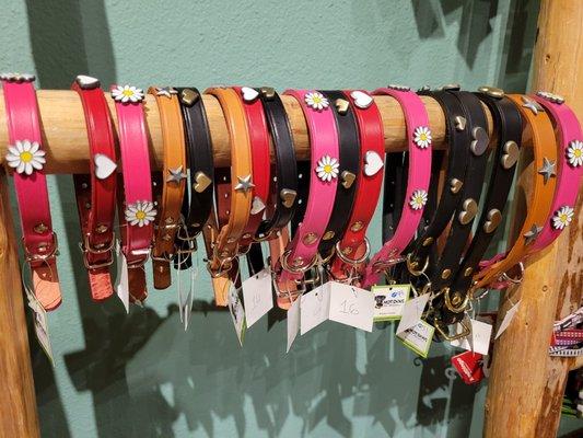 Stylish dog collars