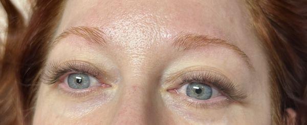 Brown 3D Lash Extensions, Natural Eye