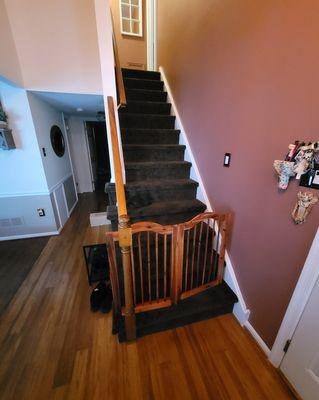 Existing Stairs (eventually re-done)