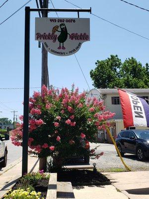 Prickly pickle. Great new business in an old standby in Chestertown.