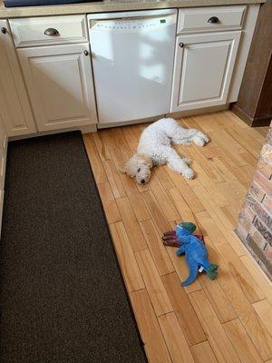 Jolene with her Dino shark (yes we love dinosaurs- clearly )