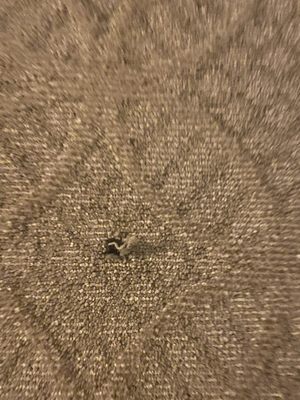 Hole in carpet