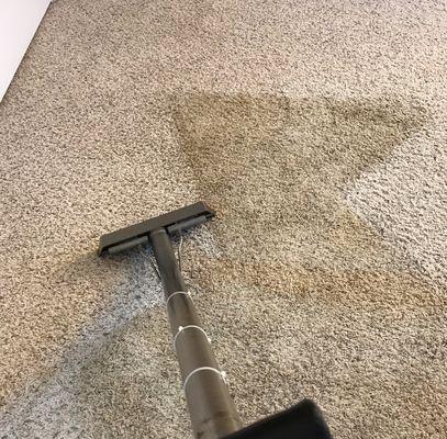 Carpet Cleaning in Lexington, KY