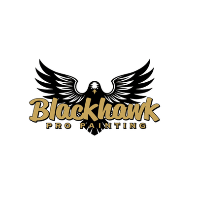 Blackhawk Pro Painting