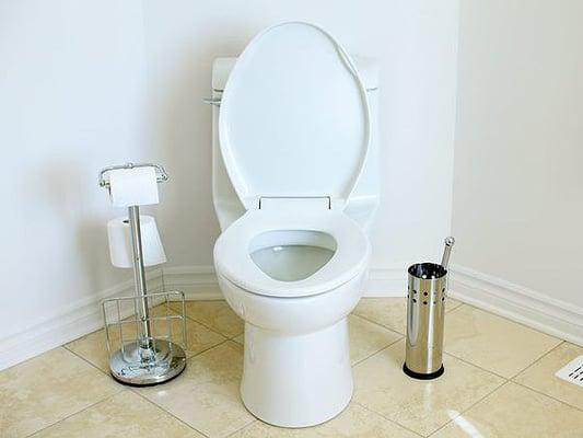 Need a new low flush toilet?