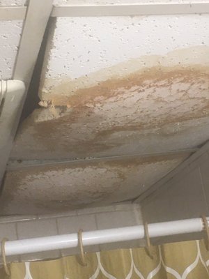 Bathroom ceiling fixture where water damage over an extended period of time has been flowing . I notice clothes left behind to cover pipes