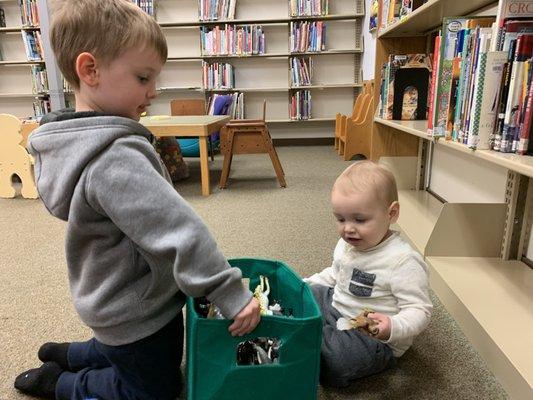 Learning about animals.