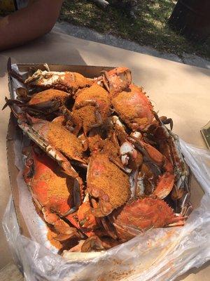 Dozen jumbo crabs