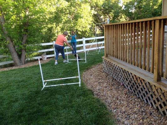 Auggie loves jumping the hurdles at agility training