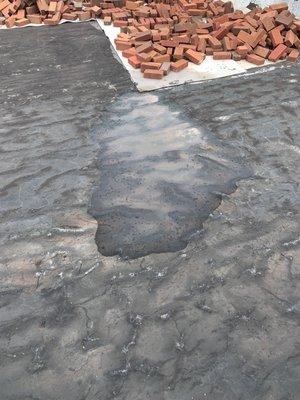 Water pooling on roof.  Bricks piled in corner serious violation.