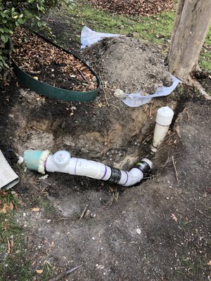 Sewer main repair caused by roots