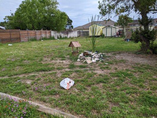 An acre backyard scooped up after three dogs with many bags of dog poop collected. Took over a hour to make the yard a joy to be in again.