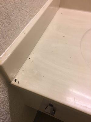 Recently deceased bugs and their poop on the sink. R.I.P