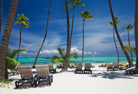 Beach Chairs On The Beach Around Palm Trees On The Sand