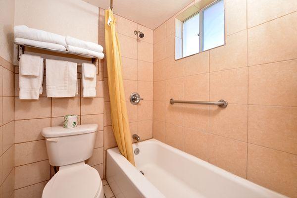 Accessible Guest Bathroom