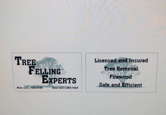 Tree Felling Experts