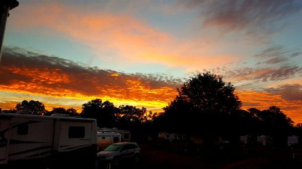 Ramblin Fever RV Park