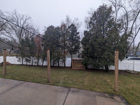 Before, trees were tethered together to keep them upright. Most were leaning against fence and toward neighbor's house.