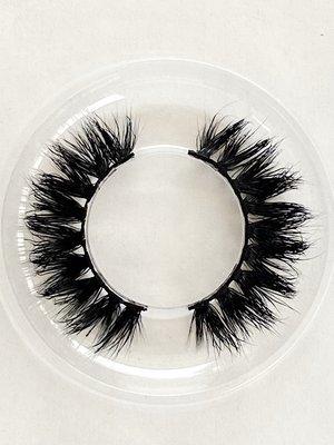 Lash Style "Social Butterfly"