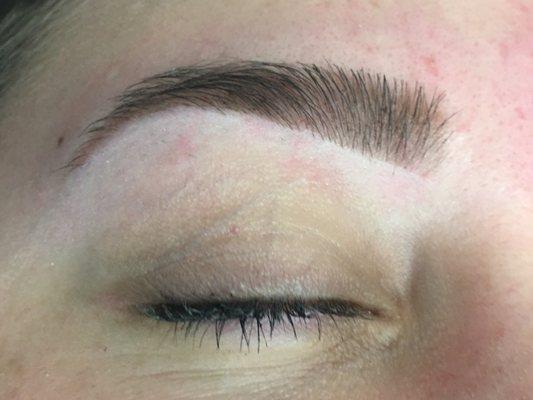 Brows by Cristi