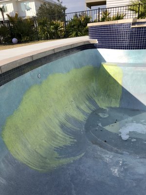 Acid washing stains in Ono Pool.