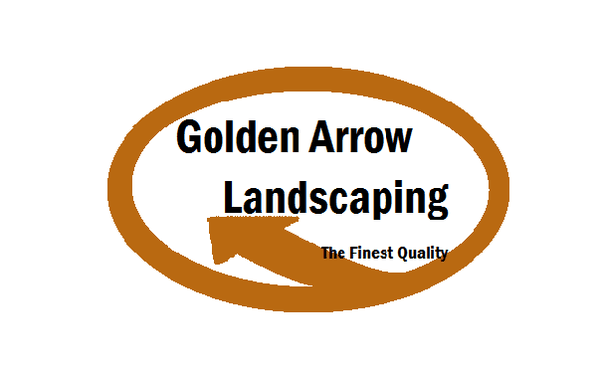 Golden Arrow Landscape