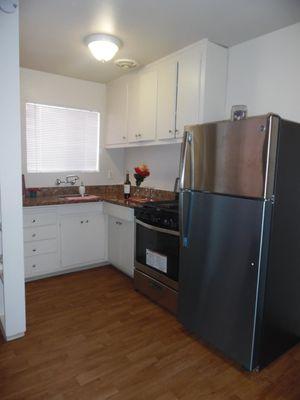 Upgraded Stainless Steel Appliances