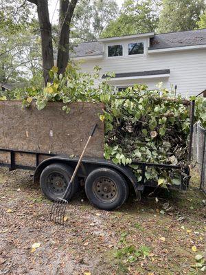 Yard cleanup